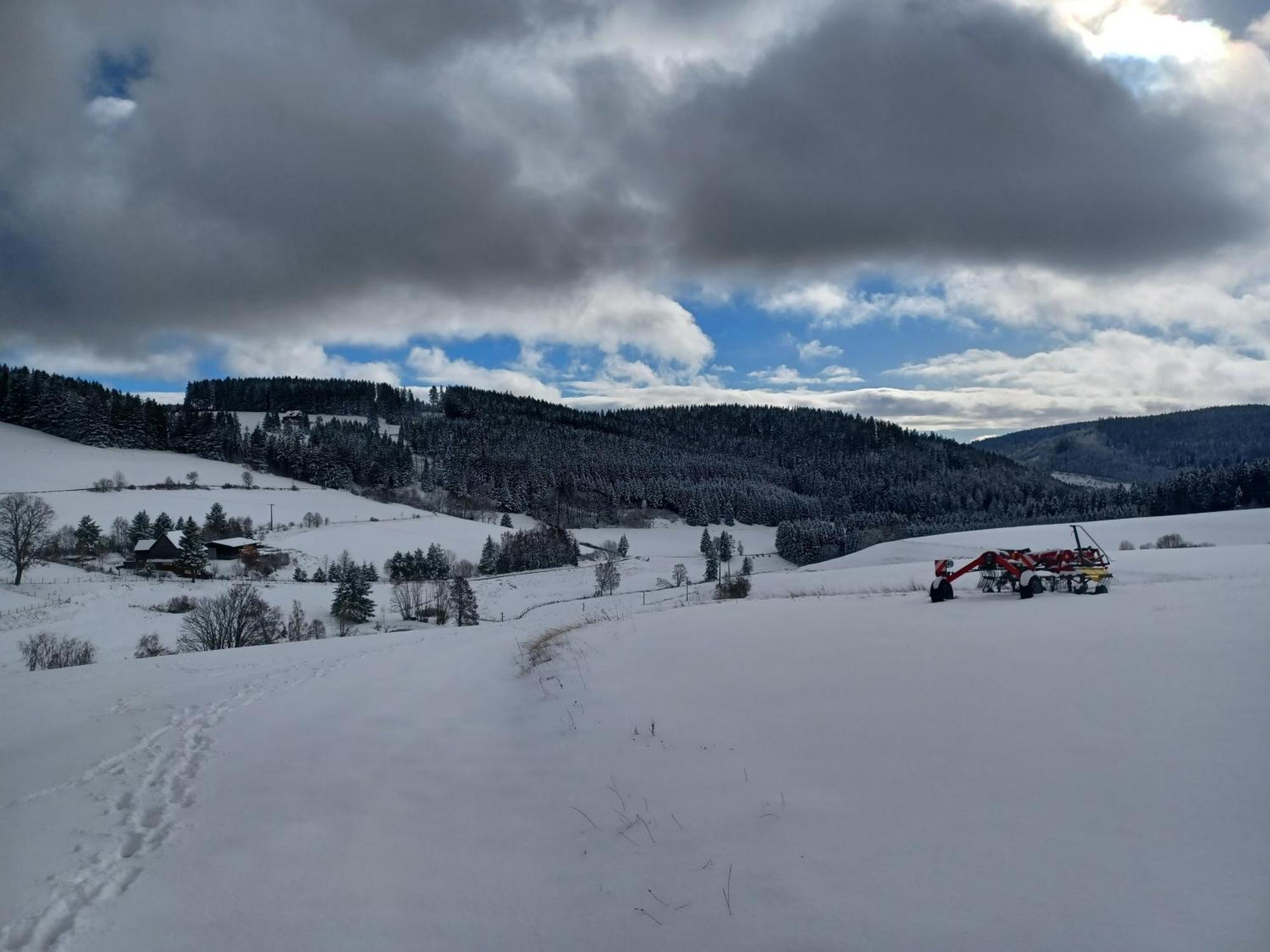 Schwarzwaldstube Lejlighed Titisee-Neustadt Eksteriør billede